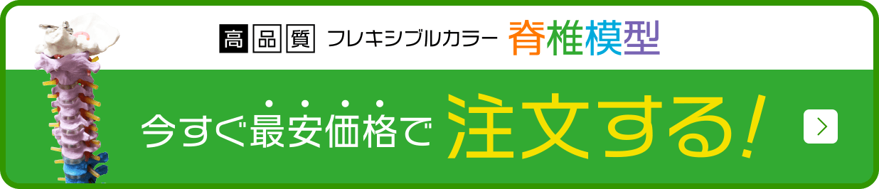 今すぐ最安価格で注文する！