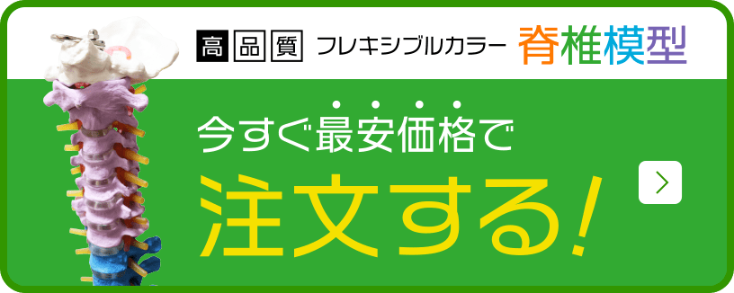 今すぐ最安価格で注文する！